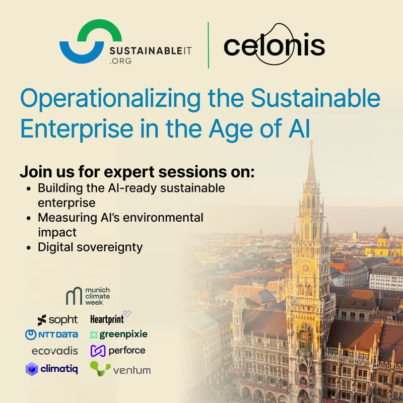 Cover Image for Operationalizing the Sustainable Enterprise in the Age of AI