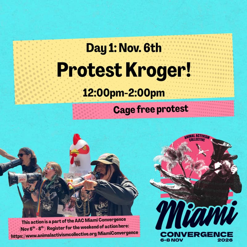 Cover Image for Kroger Campaign Protest