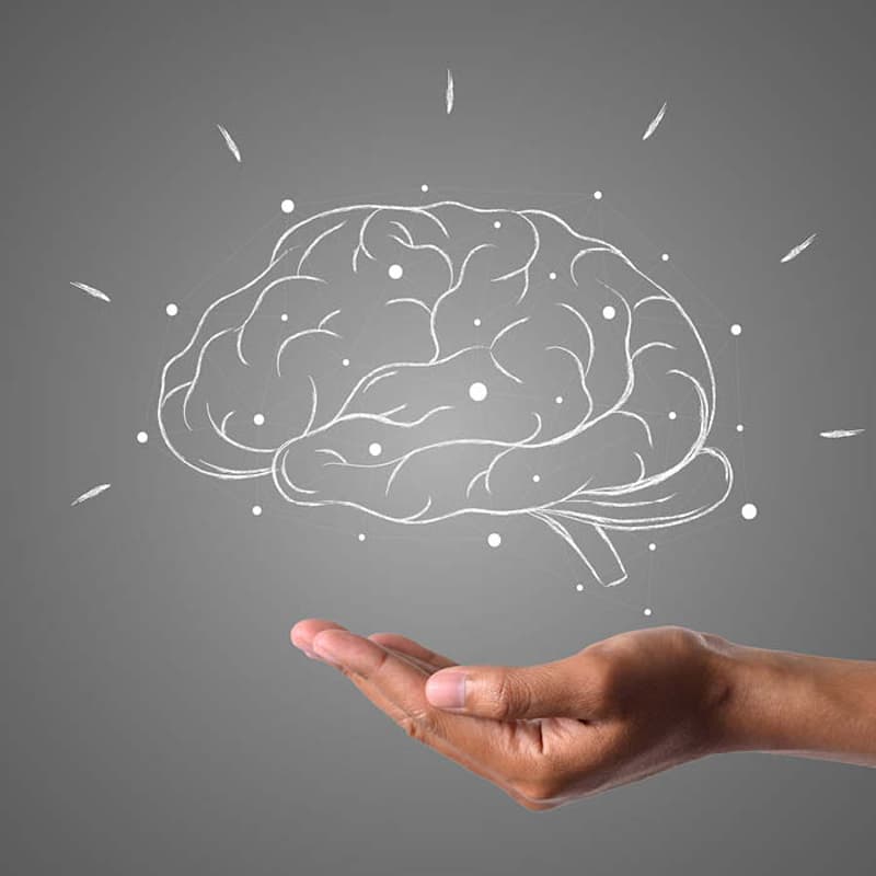 Cover Image for Lezione introduttiva | Il Cervello: istruzioni per l'uso 🧠