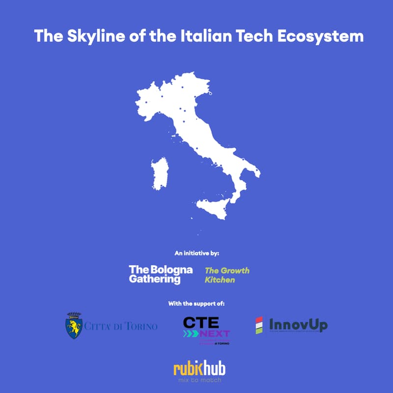 Cover Image for The Skyline of the Italian Tech Ecosystem