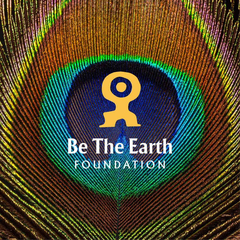 Cover Image for Women's Day Retreat | HEAD, HEART, HANDS