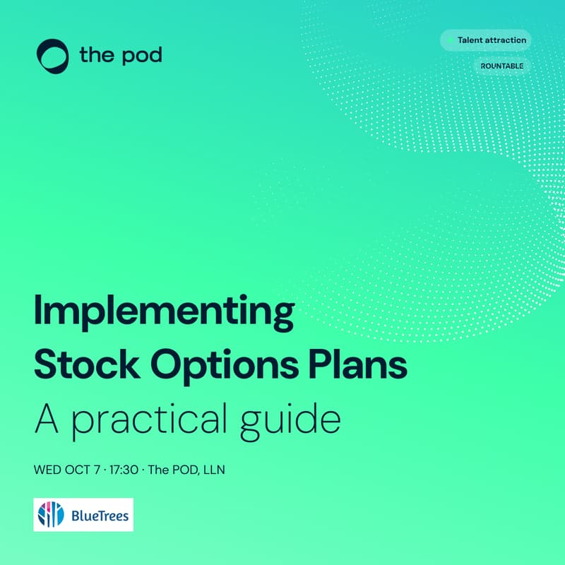 Cover Image for Implementing Stock Option Plans: A Practical Guide