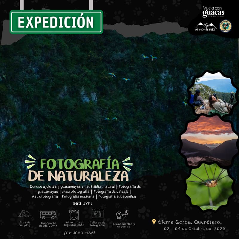 Cover Image for Expedición Fotografía De Naturaleza (CDMX - Sierra Gorda, Querétaro)