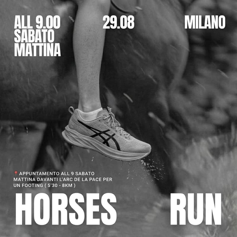 Cover Image for HORSES RUN 🐎