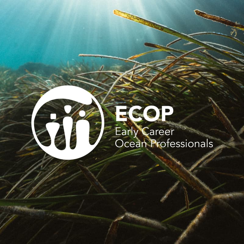Cover Image for ECOP Spain Mixer
