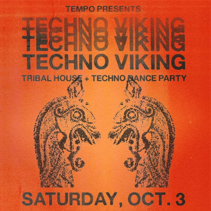 Cover Image for TECHNO VIKING