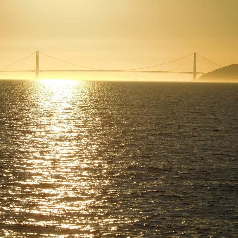 Cover Image for After-work walk at Berkeley Marina
