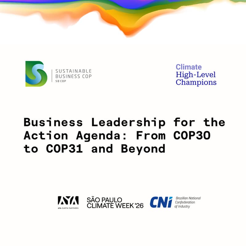 Cover Image for Business Leadership for the Action Agenda: From COP30 to COP31 and Beyond