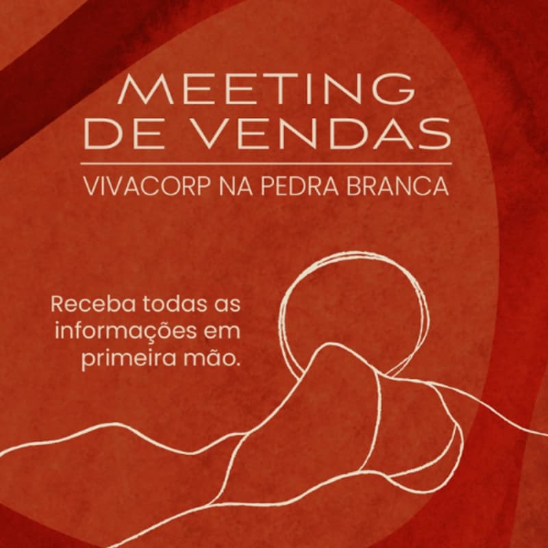 Cover Image for Meeting Vivanti