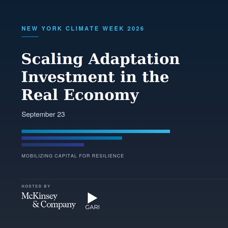 Cover Image for Scaling Adaptation Investment in the Real Economy