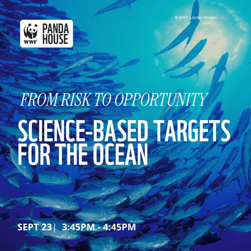Cover Image for From Risk to Opportunity: Science-based Targets for the Ocean