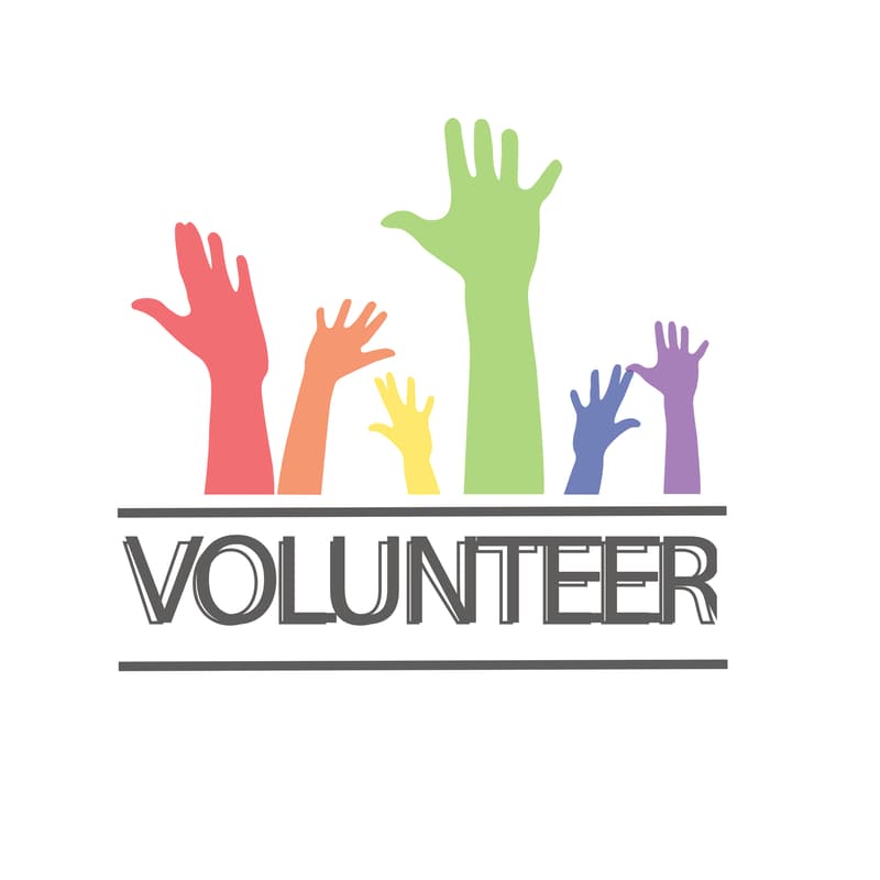 Cover Image for Independent Volunteer Activity (any day/time)