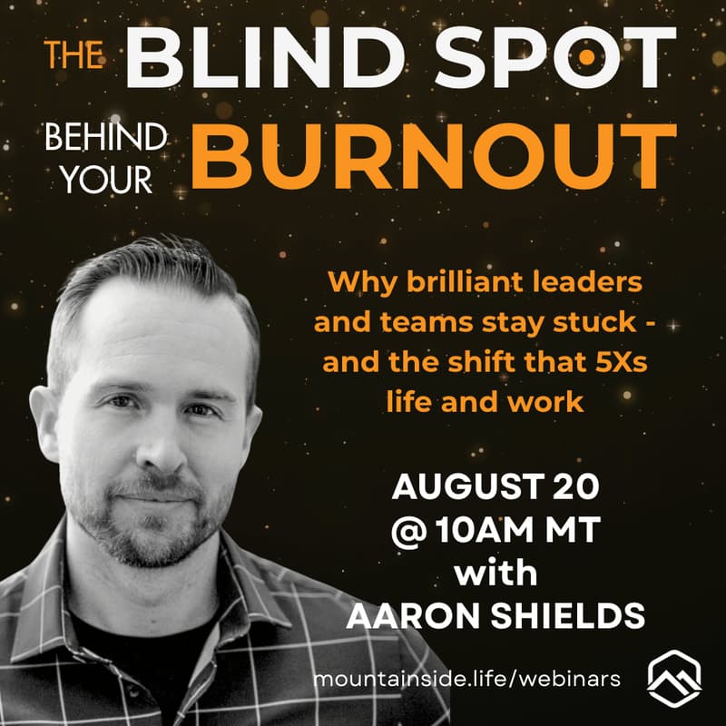 Cover Image for The BLIND SPOT Behind Your BURNOUT
