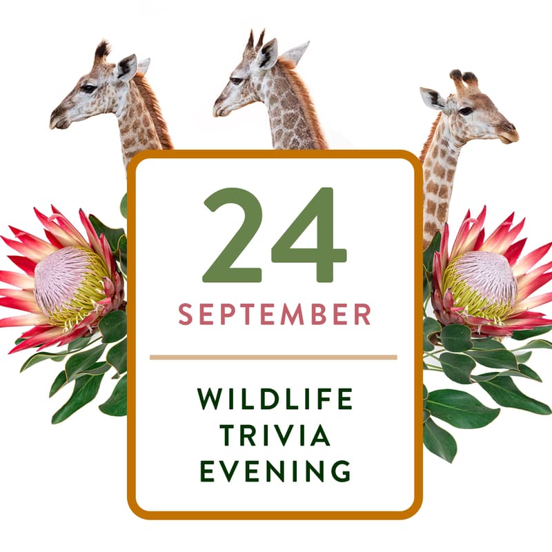 Cover Image for Wildlife Trivia with Wild Tomorrow