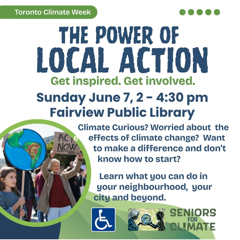 Cover Image for The Power of Local Action