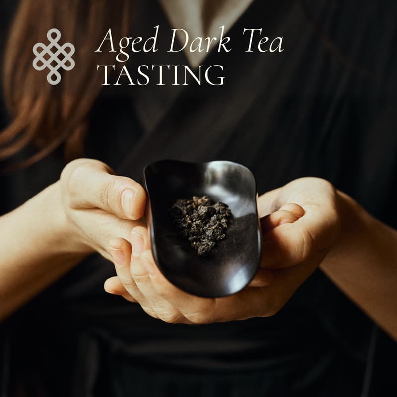 Cover Image for Aged Dark Tea Tasting