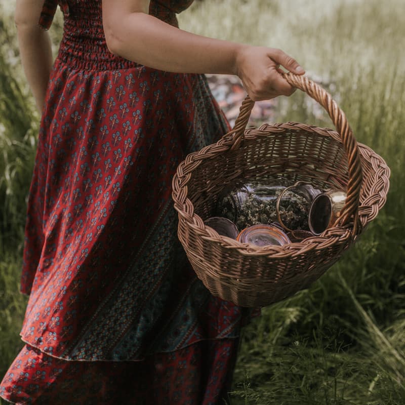 Cover Image for Autumn Equinox Medicine Making Day