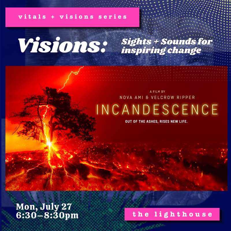 Cover Image for Visions: Sights & Sounds for Inspiring Change