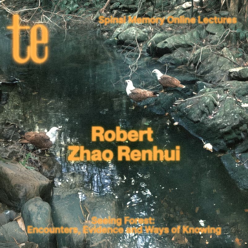 Cover Image for Seeing Forest: Encounters, Evidence and Ways of Knowing | te Online Lectures