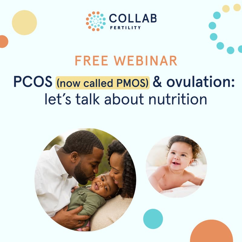Cover Image for PCOS (PMOS) and Ovulation: Let's Talk About Nutrition