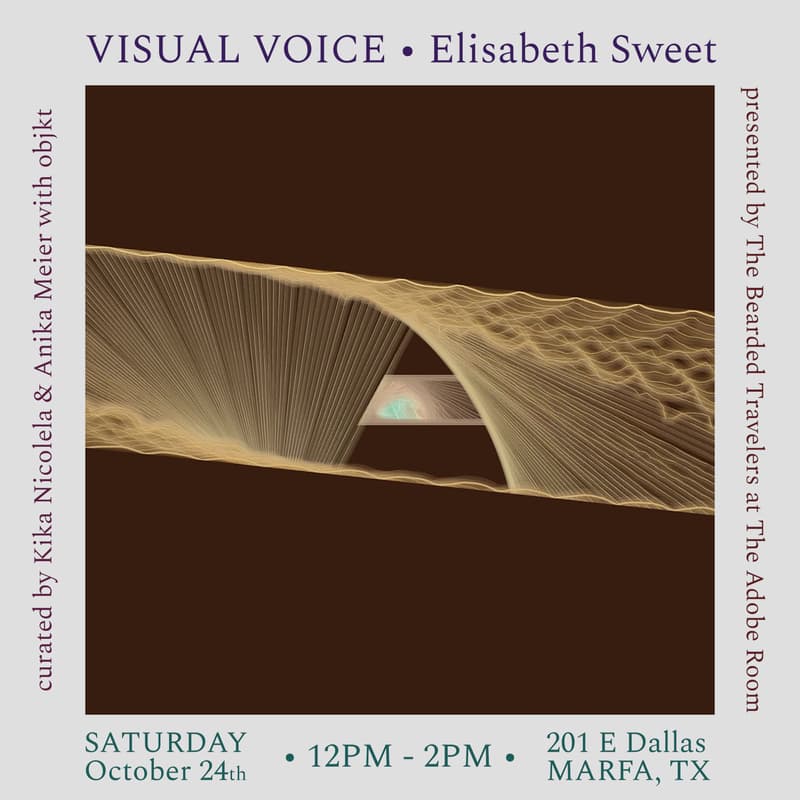 Cover Image for VISUAL VOICE by Elisabeth Sweet at "The Adobe Room" curated by Kika Nicolela and Anika Meier of objkt presented by The Bearded Travelers