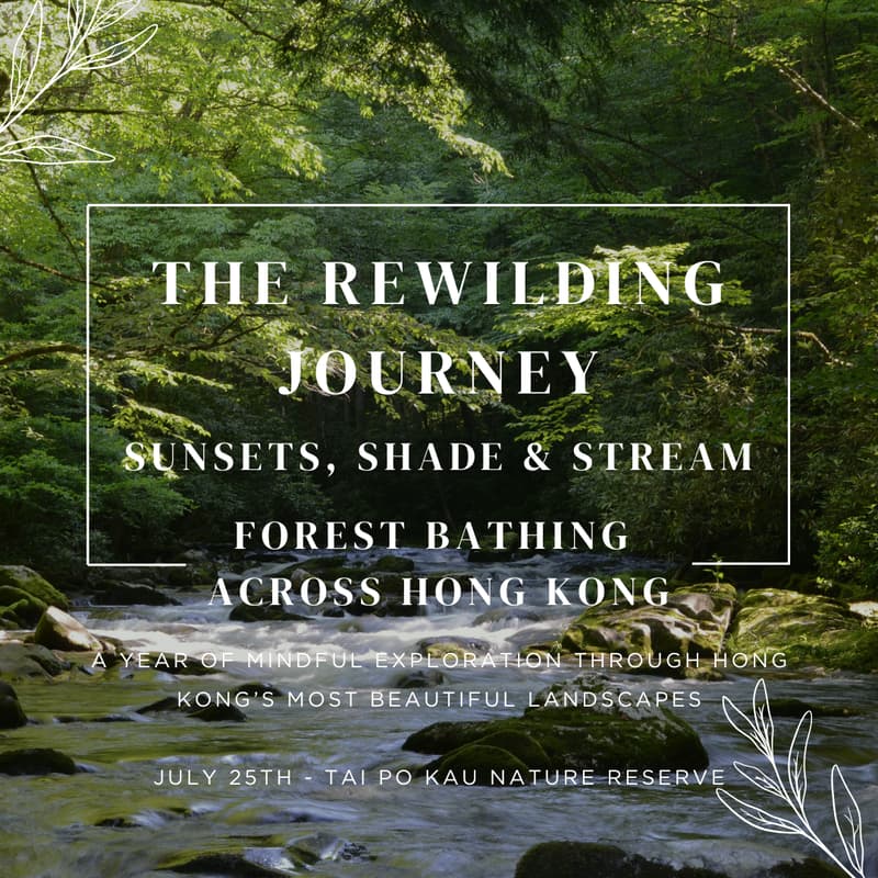 Cover Image for The Rewilding Journey: Sunsets, Shade, and Streams Edition
