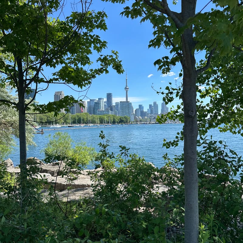 Cover Image for Sunday morning yoga at the park