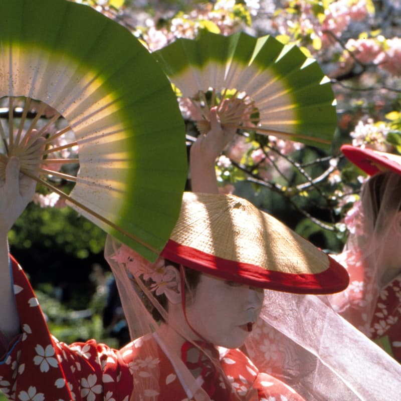 Cover Image for 2026 Japanese Traditional Dance Workshop