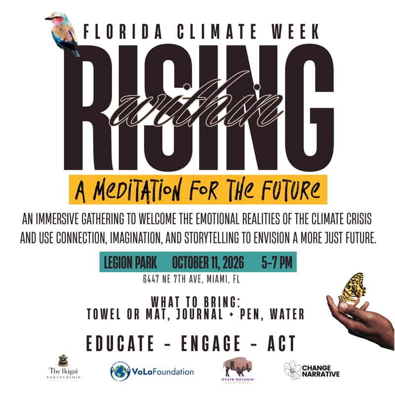 Cover Image for Rising Withing: A Meditation for the Future