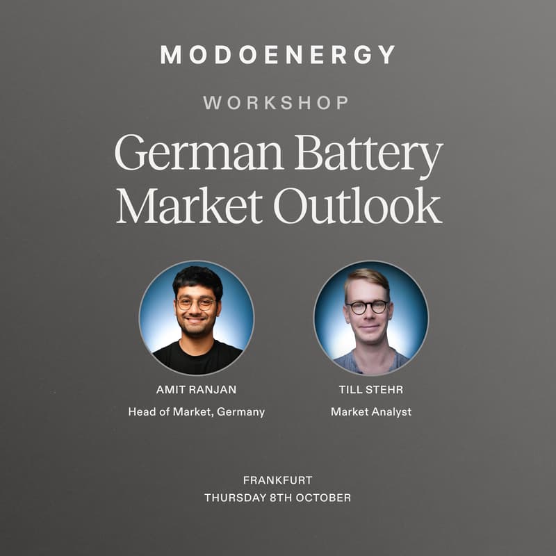 Cover Image for WORKSHOP: German Battery Market Outlook (Frankfurt)