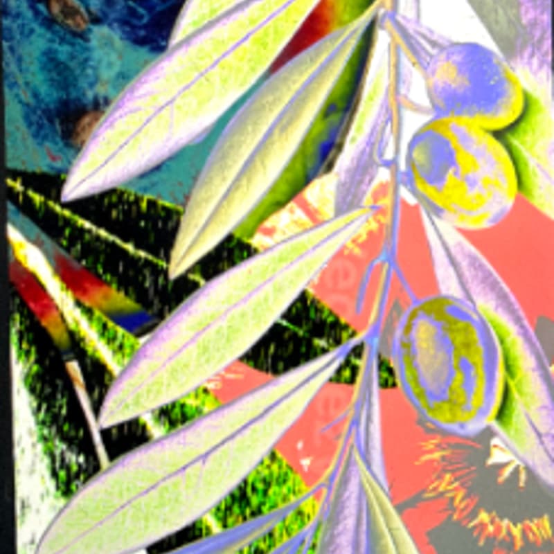 Cover Image for Back to the Roots: A community performance fundraiser for Palestine