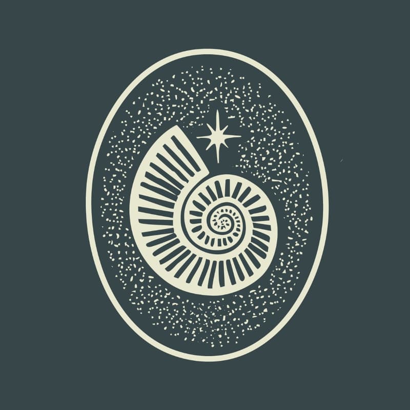 Cover Image for Tides Circle