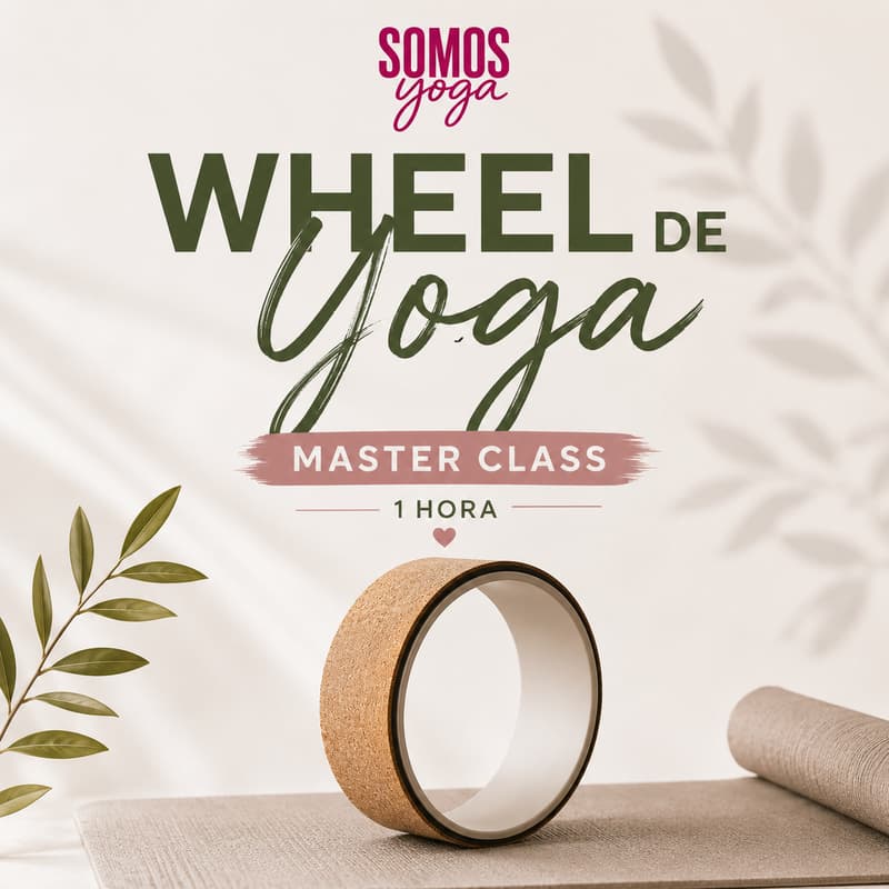 Cover Image for Wheel Master Class