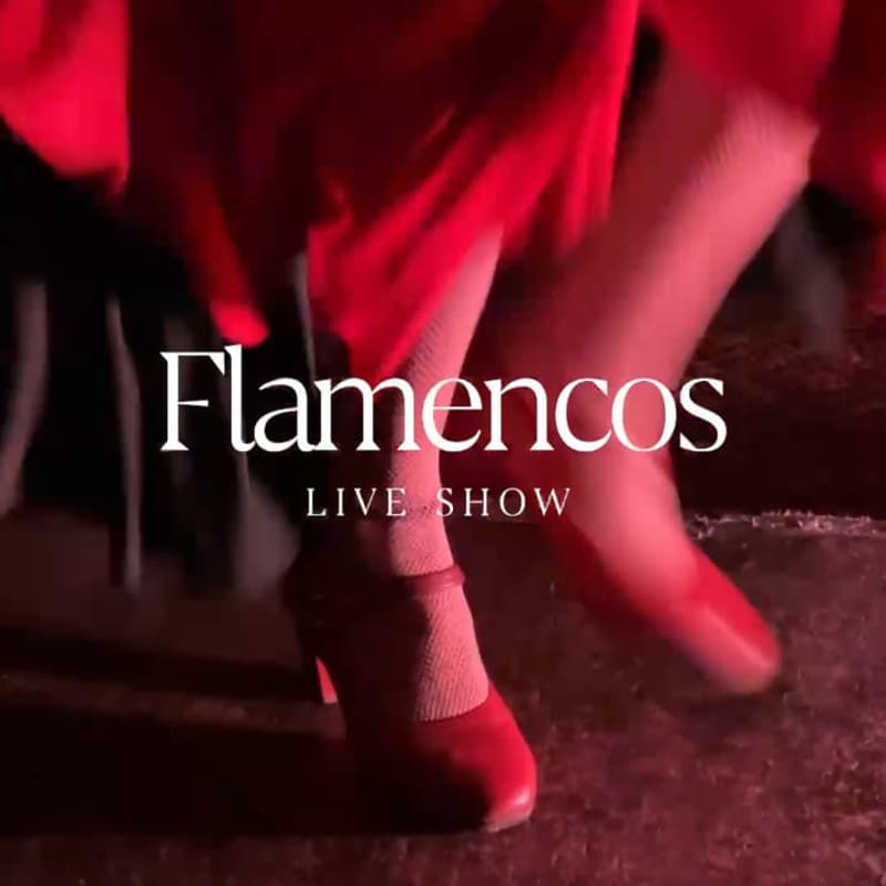 Cover Image for Be Music: Flamencos