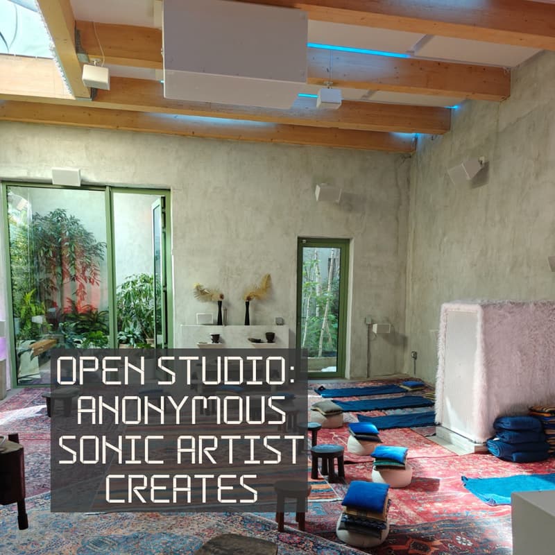 Cover Image for Anonymous Sonic Artist Creates - Open Studio