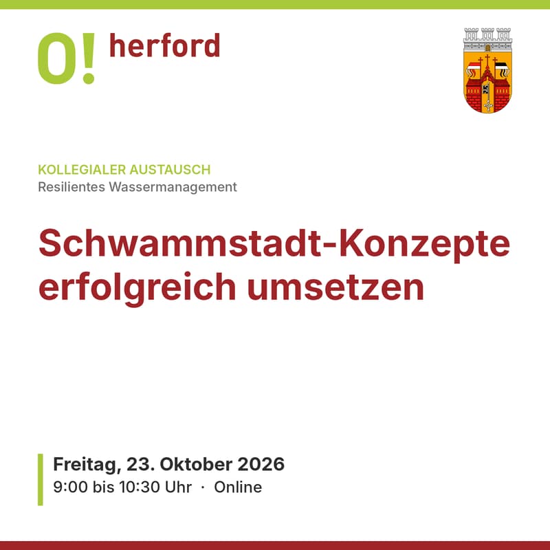 Cover Image for Schwammstadt-Konzepte erfolgreich umsetzen