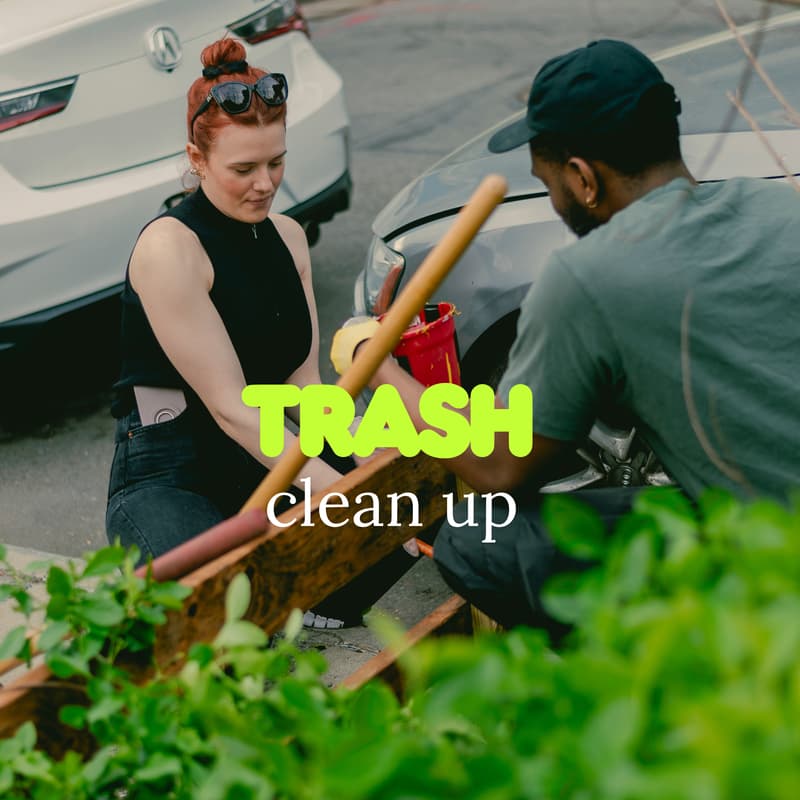 Cover Image for Karma Trash Club: Tree Bed Takeover ๐ณ