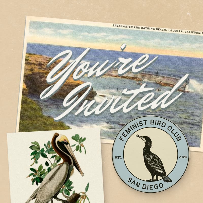 Cover Image for Sunset Birding at La Jolla Cove