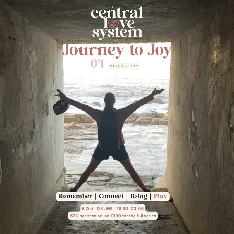 Cover Image for Journey To Joy - Part 4 - Play