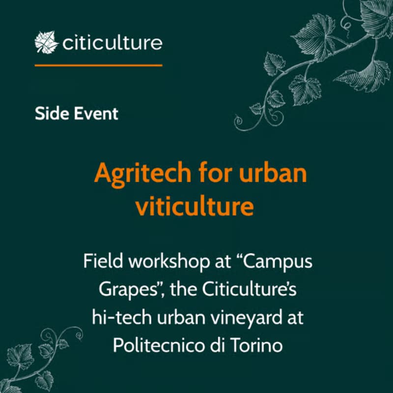 Cover Image for Smart Vines: Agritech Meets Campus Grapes