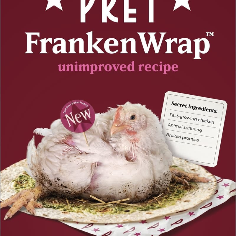 Cover Image for Take action against frankenchicken