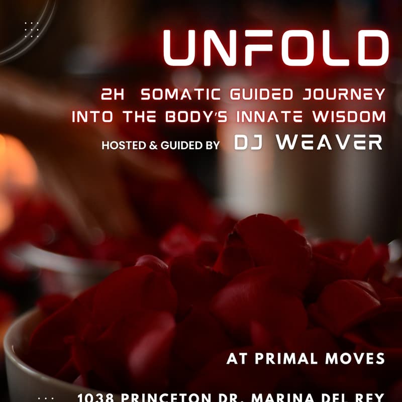 Cover Image for Unfold - A Somatic Guided Journey / Contact Improv / Dance Evening