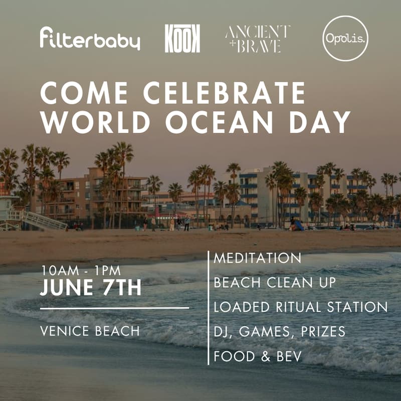 Cover Image for World Ocean Day Venice