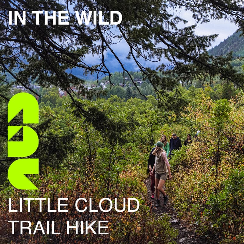 Cover Image for Little Cloud Trail Hike