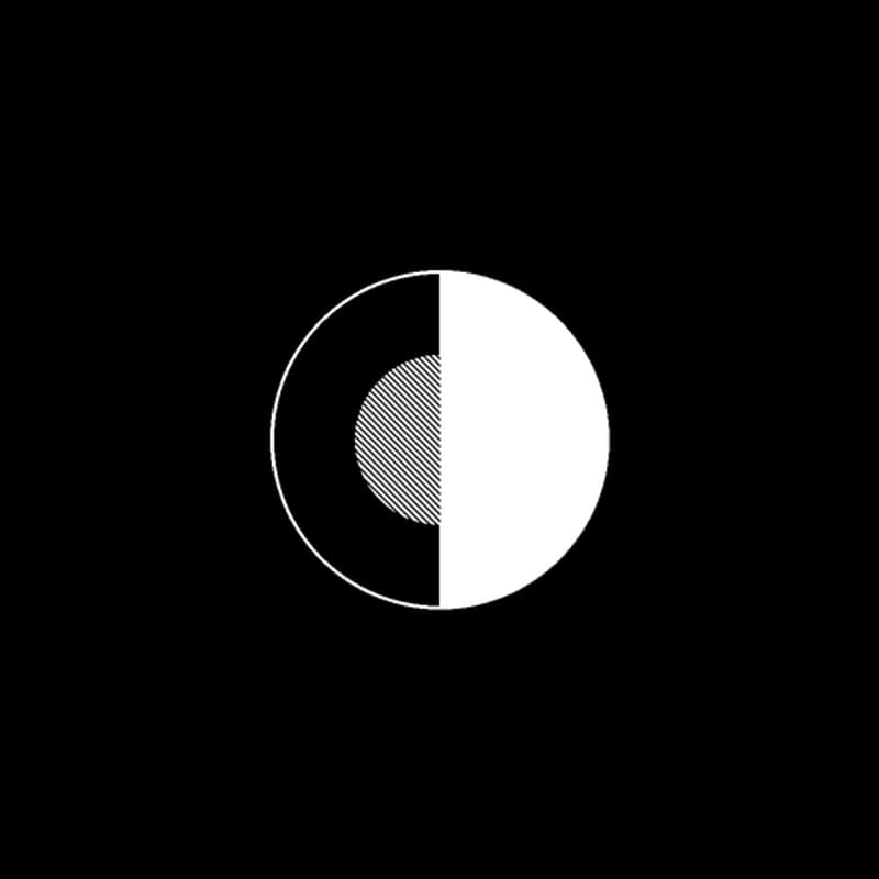 Cover Image for The Perceptron
