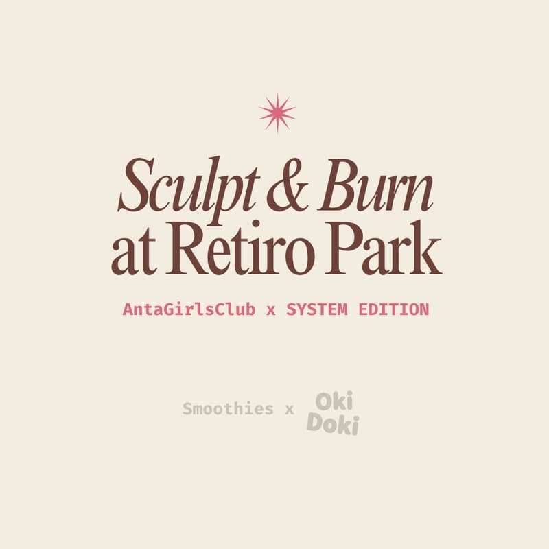 Cover Image for SYSTEM EDITION — SCULPT & BURN