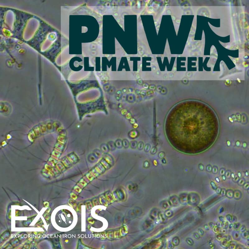 Cover Image for Phytoplankton Climate Heros