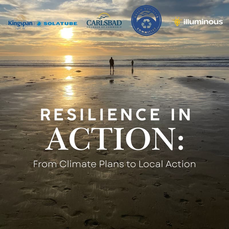 Cover Image for Resilience in Action: From Climate Plans to Local Action
