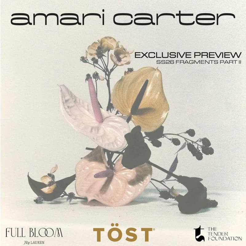 Cover Image for Amari Carter — Fragments Part II: Private Collection Preview