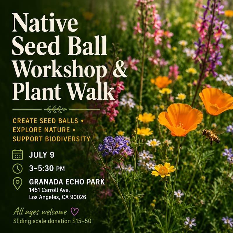 Cover Image for Native Seed Ball Workshop + Plant Walk